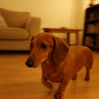 Dieter H.